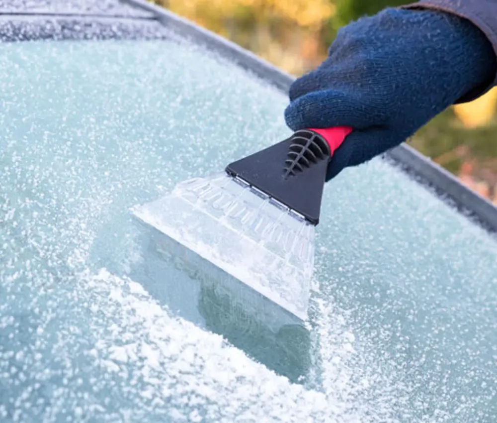 Krabben Auto Ruit 780