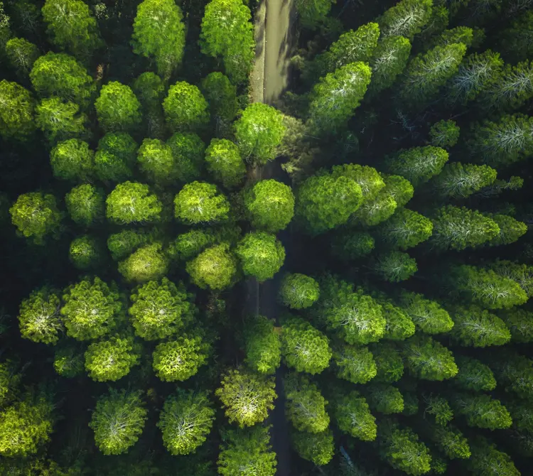 Pexels Lukas Rodriguez 3573351