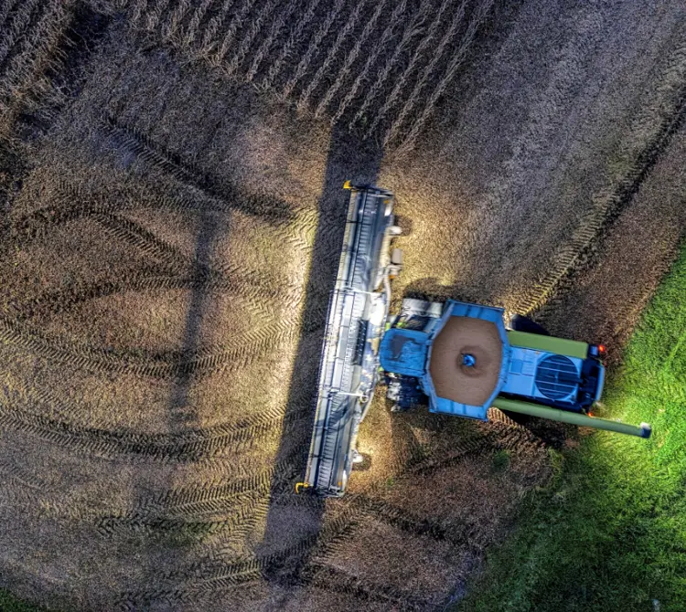 Pexels Tom Fisk 9963140