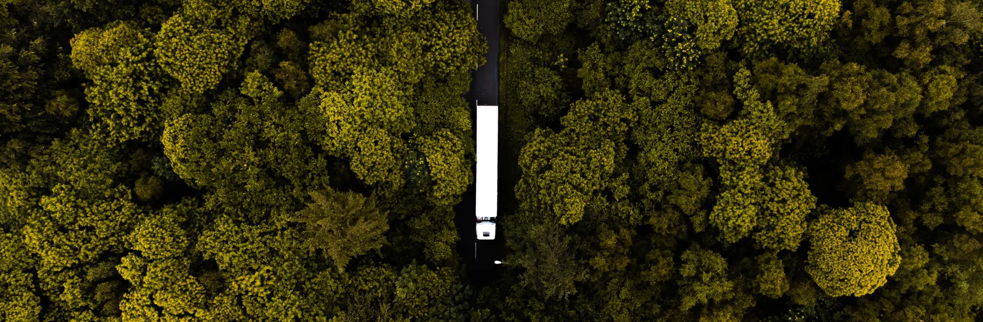 Pexels Max Hoy 10841111