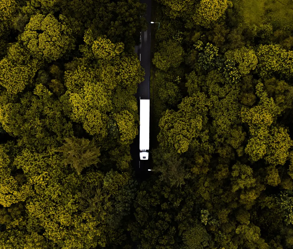 Pexels Max Hoy 10841111